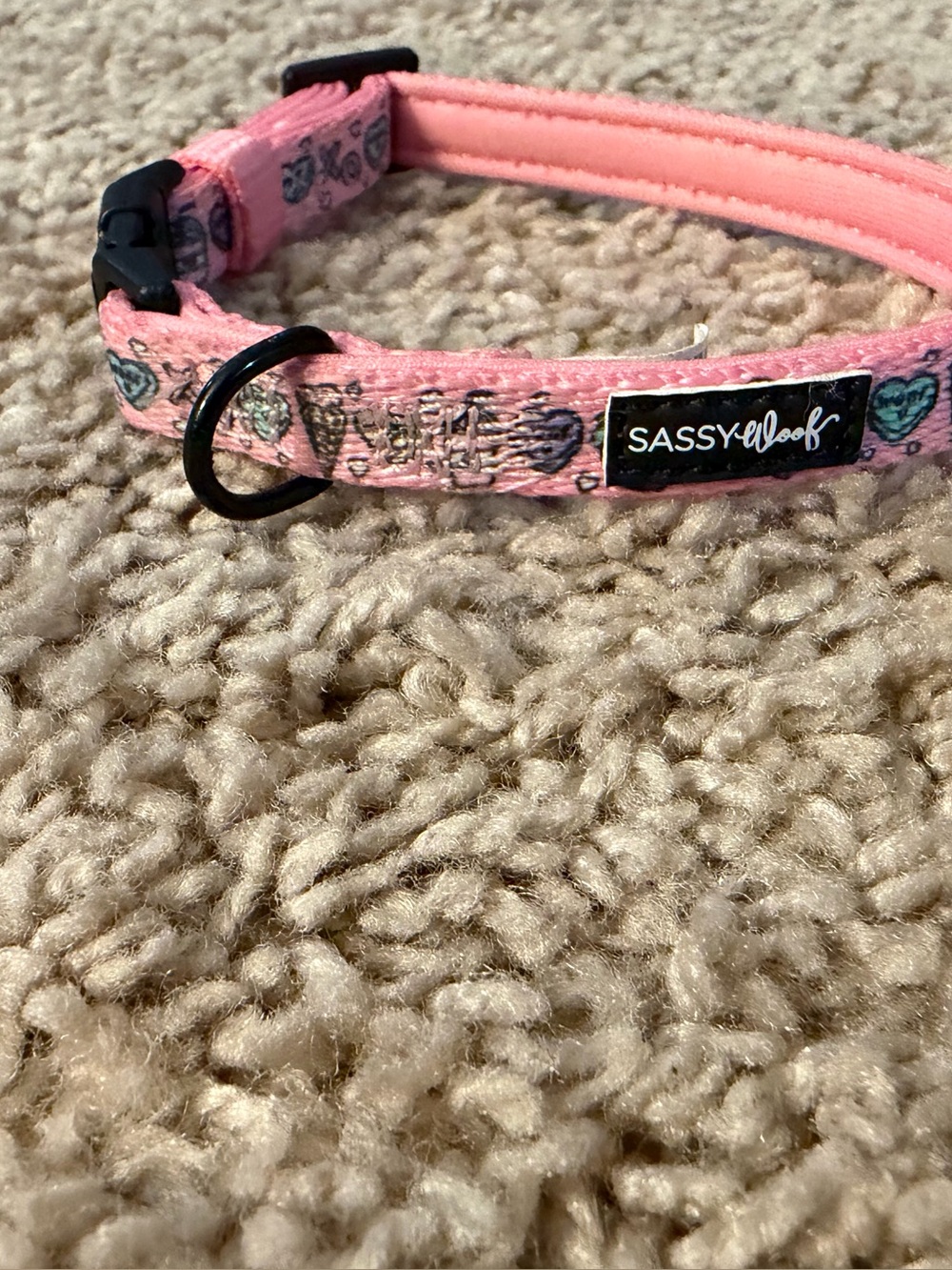 Sassy Woof I Chews You Dog Collar